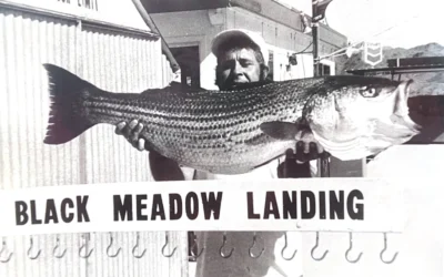 Fishing at Black Meadow Landing: A Lake Havasu Tradition